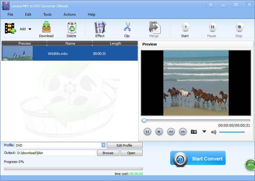 Lionsea MKV To DVD Converter Ultimate 4.5.3 full